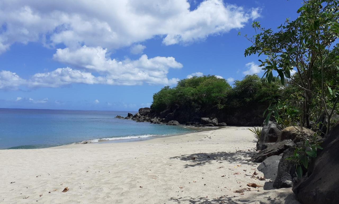 Yekrik-yekrak - Vue Exceptionnelle Sur La Des Caraibes * Deshaies